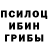 Псилоцибиновые грибы ЛСД tiana Aguirre